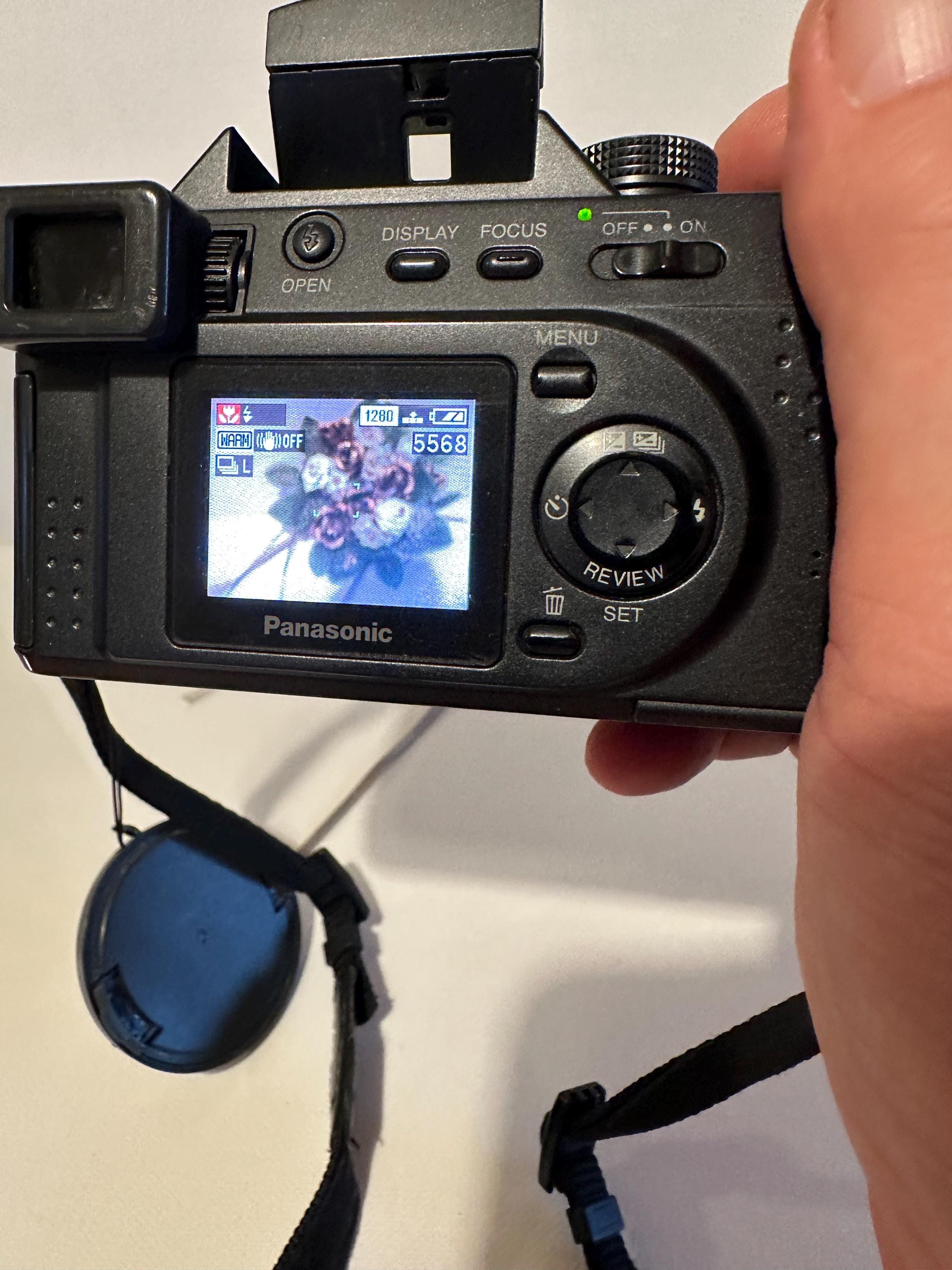 Digital Camera Panasonic Lumix DMC-FZ1 - Etsy