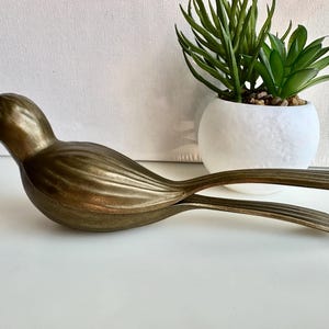 Nude nut cracker - Etsy 日本