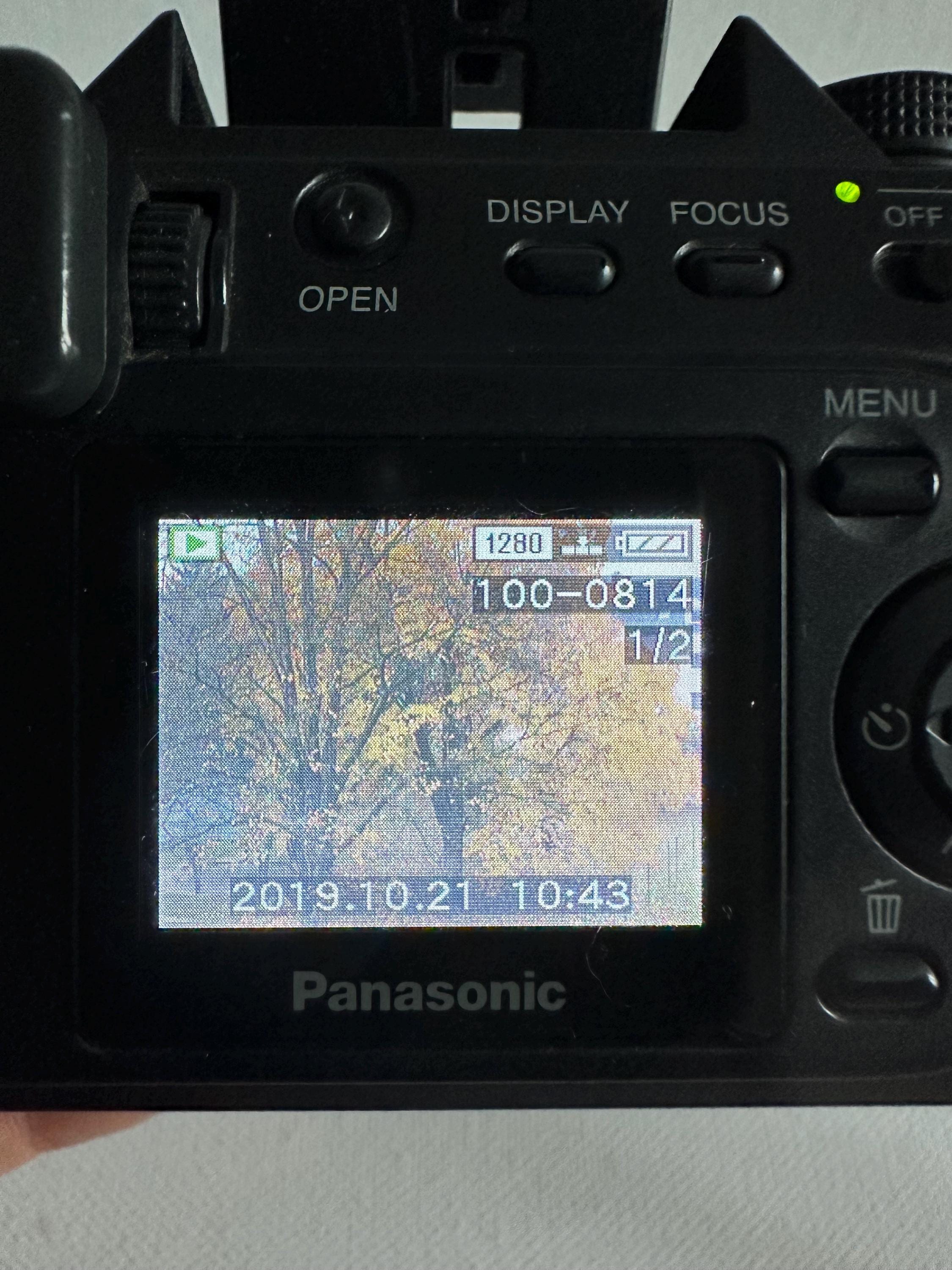 Digital Camera Panasonic Lumix DMC-FZ1 - Etsy