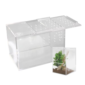 Jumping Spider Enclosure 5&quot;x5&quot;x7&quot; or Tarantula Enclosure - Reptile Terrarium w/Sliding Magnetic Door  Acrylic for terrestrial or arboreal.