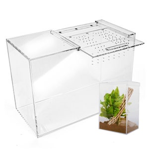 XL Tarantula Enclosure versatile horizontal/vertical design terrestrial or arboreal species -reptile, Amphibian, or Jumping spider enclosure