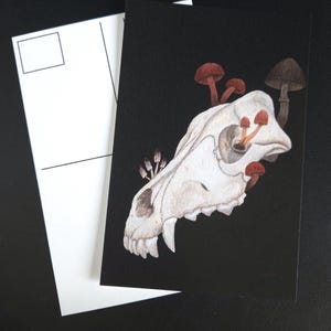 Carte postale loup tête de mort et champignons, impression d'art carte 4 x 6, Dark Academia, Mauvaise humeur, Renaissance, squelette, folklore