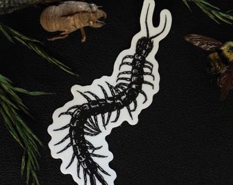 Centipede Sticker: Bug Art, Waterproof Vinyl