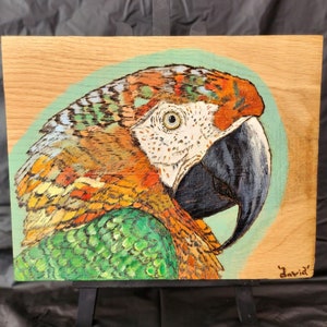 Parrot, Original art work on wood, handmade wood burned (pyrography) image, hand painted and clear coated to last!