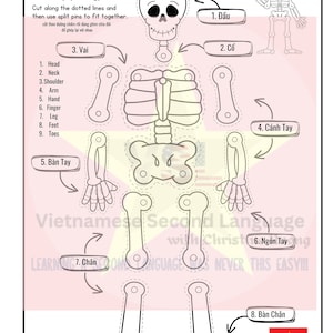 Learn and Make your own Skeleton for Halloween-Vietnamese