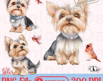 Adorable Yorkie bougee con clipart sentimental cardenal Yorkshire Terrier Missing You PNG diseño gráfico de sublimación de cachorro Yorkie