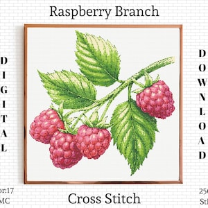 May include: Cross stitch pattern of a raspberry branch with green leaves and red raspberries. The pattern is 250 stitches by 250 stitches.