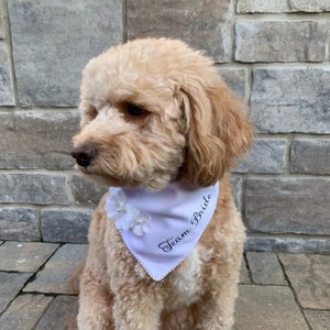 Team Bride Dog Bandana: Custom Collar Wedding Accessory