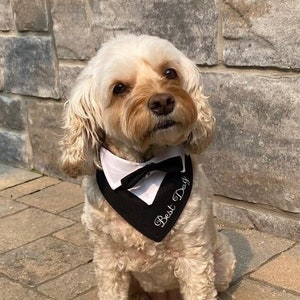 Dog Tuxedo Bandana: Customizable Wedding Attire