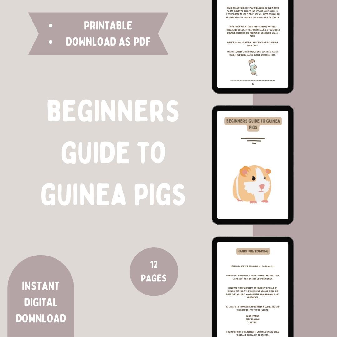 Guinea Pig Care Guide: Beginner's Printable Handbook (digital Download ...