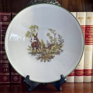 Bareuther Waldsassen Bavaria Plate