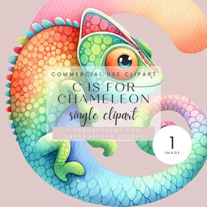Camaleón Arco Iris Alfabeto Clipart Pequeño Bebé Niño Niña Ducha Regalo Guardería Niños Habitación Decoración Letra C Impresión Digital Clip Art Acuarela PNG