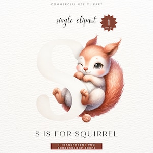 Clipart del alfabeto de ardilla, regalo de baby boy girl shower, decoración de la habitación infantil de la guardería letra S impresión digital, clip art acuarela PNG, SC-0136