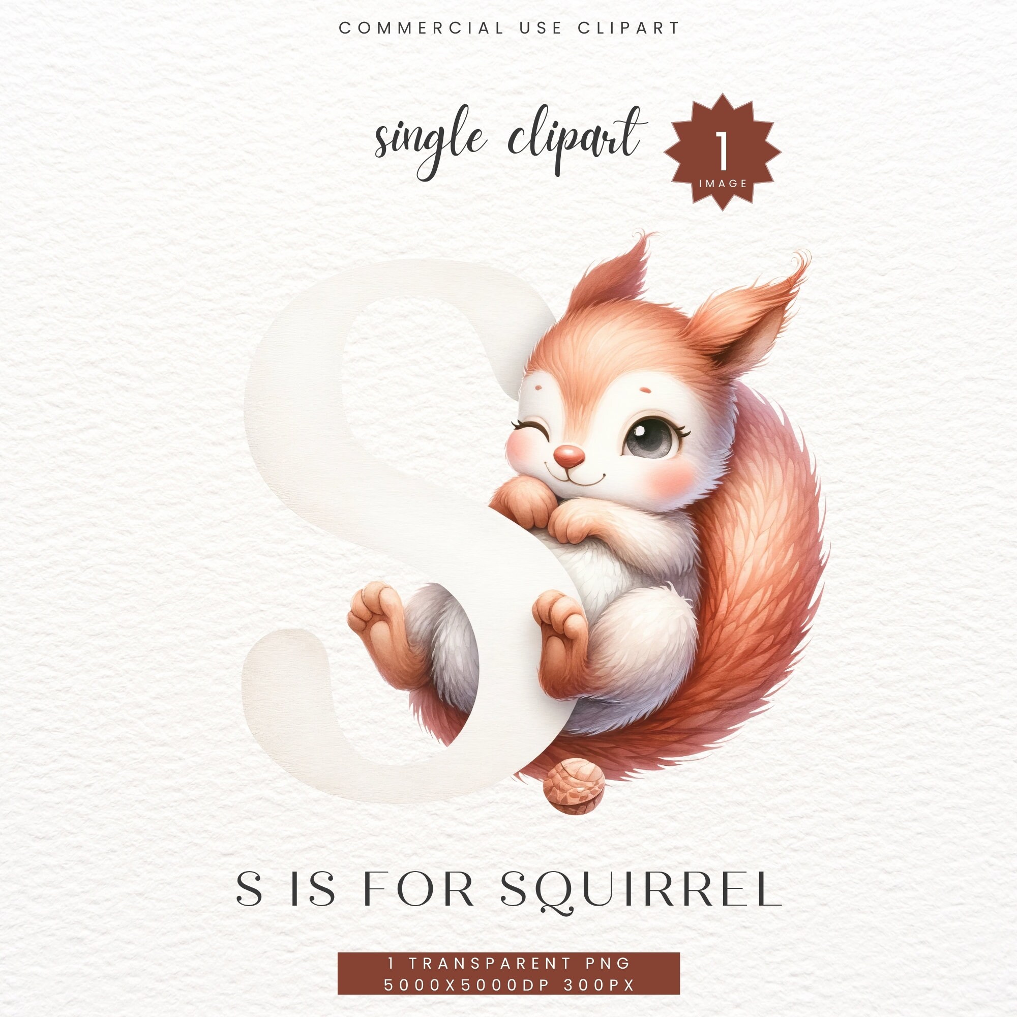 Squirrel Alphabet Clipart, Baby Boy Girl Shower Gift, Nursery Child