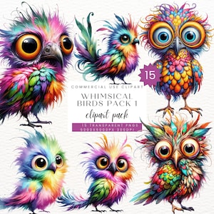 Clipart de pássaros engraçados, ilustrações peculiares de pássaros, animais caprichosos, gráficos caprichosos de clipart de sublimação, aquarela PNG, download digital