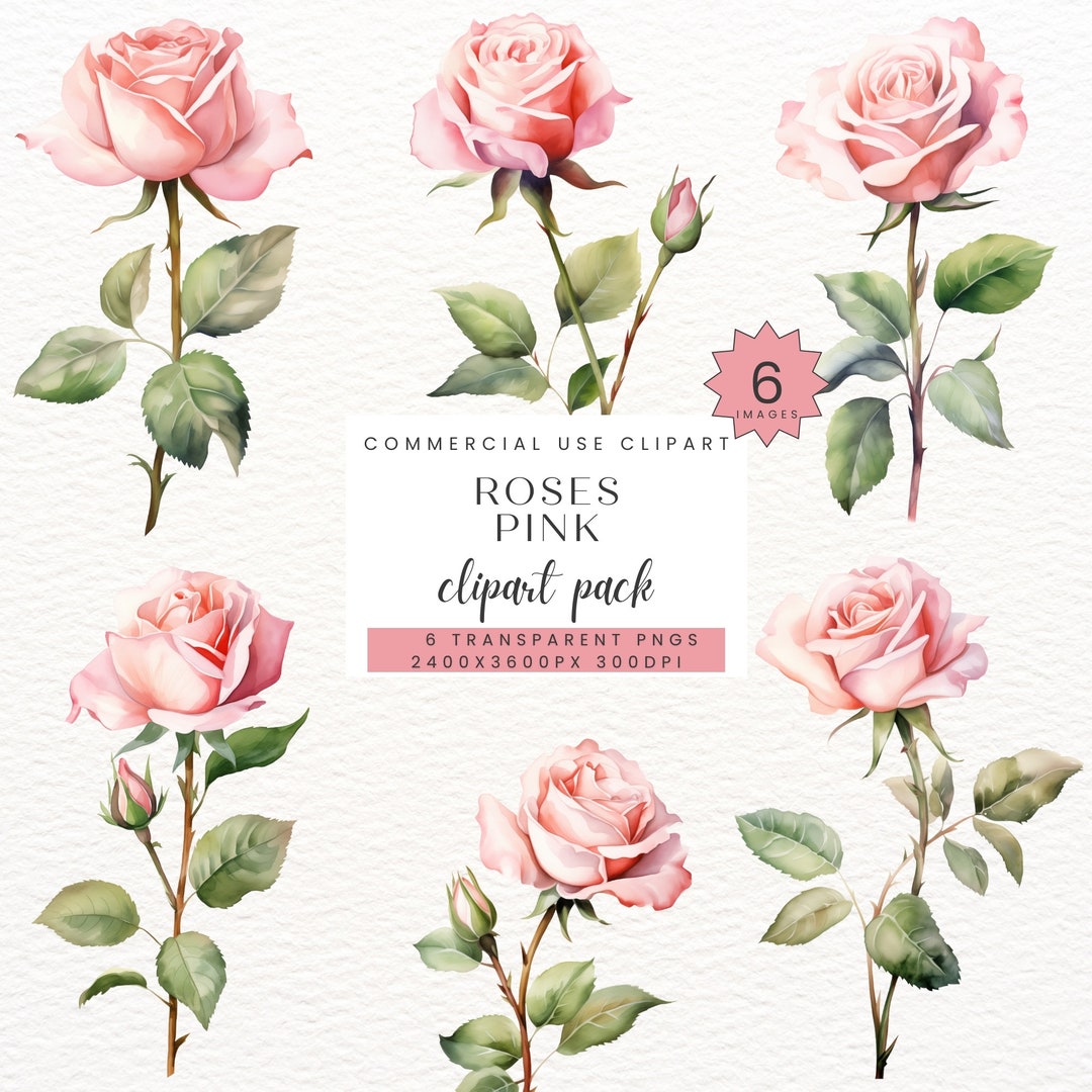 Watercolor Pink Floral Clipart Roses, PNG Pink Flowers Clip Art,wedding ...