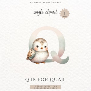 Wachtel Alphabet Clipart, Baby Junge Mädchen Blau Dusche Geschenk, Kinderzimmer Kinderzimmer Dekor Buchstabe Q Digitaldruck, Clip Art Aquarell PNG, SC-0134