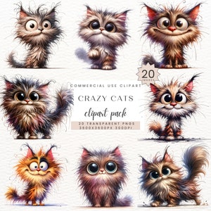 Verrückte Katze Clipart PNG, Katzendame, Kätzchenliebhaber, Digitaldruck, niedliches Sublimationsdesign, lustiges kleines Kätzchen Clip Art für Tshirt, SC-0184