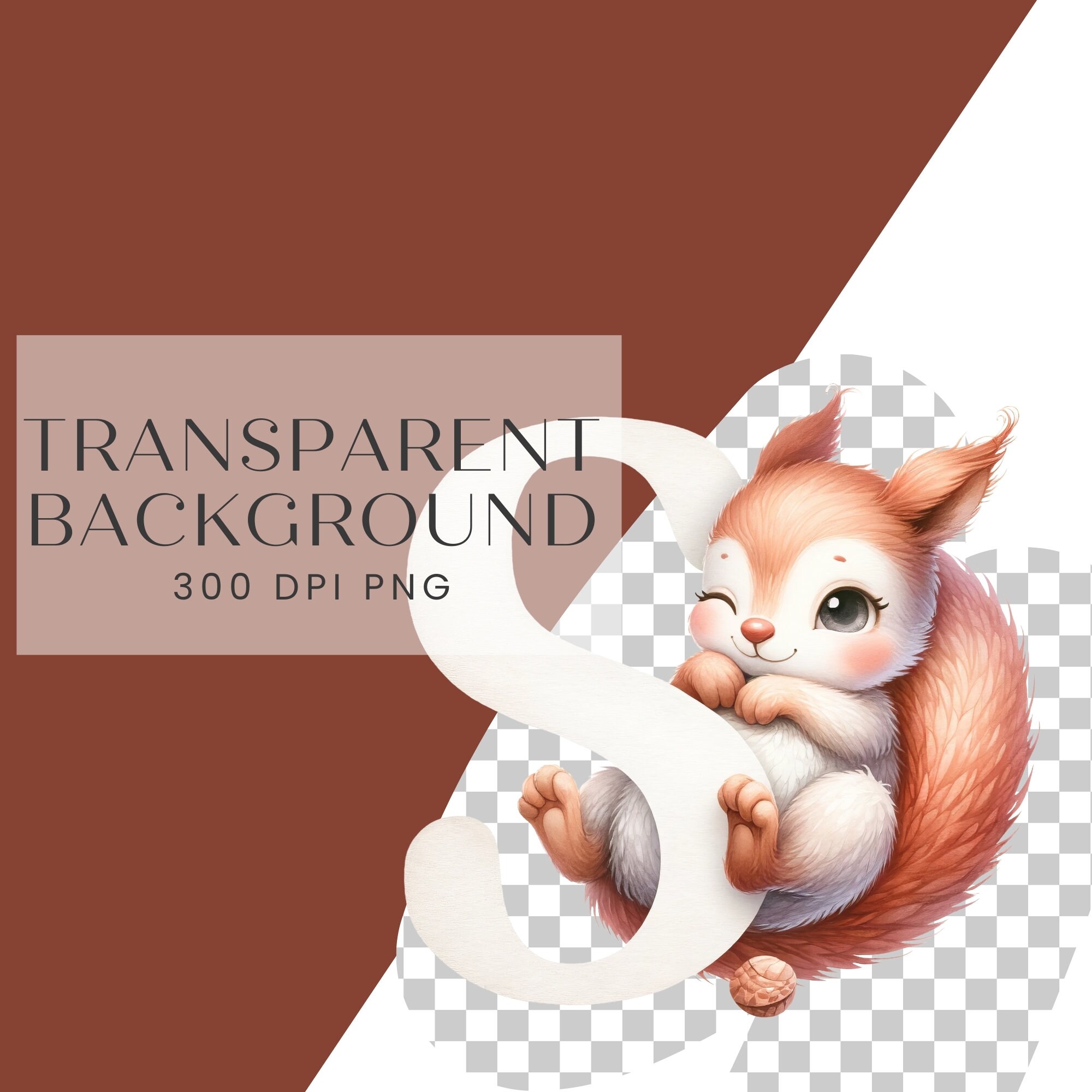 Squirrel Alphabet Clipart, Baby Boy Girl Shower Gift, Nursery Child