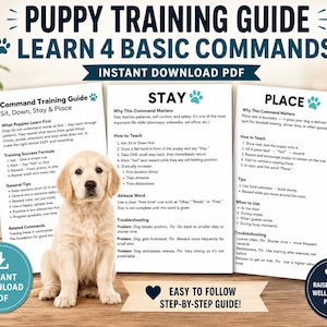 Può includere: Una guida all'addestramento per cuccioli in formato PDF con testo su come insegnare comandi come resta e terra, accompagnata da una foto di un cucciolo di golden retriever. Il documento include sezioni su successo, consigli e risoluzione.