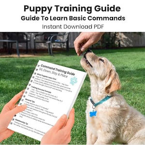 Op de afbeelding: Een jonge golden retriever pup kijkt omhoog naar een hand die een traktatie aanbiedt. De afbeelding toont een trainingsgids met de titel "Puppy Training Guide" met instructies over basiscommando's. De gids wordt voor de pup gehouden.