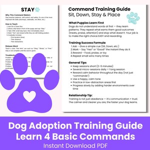 Op de afbeelding: Een honden trainingsgids met instructies voor het aanleren van basiscommando's zoals zit, af, blijf en plaats. De gids bevat tips over trainingssucces, algemene tips en relatietips. Direct downloadbare PDF.