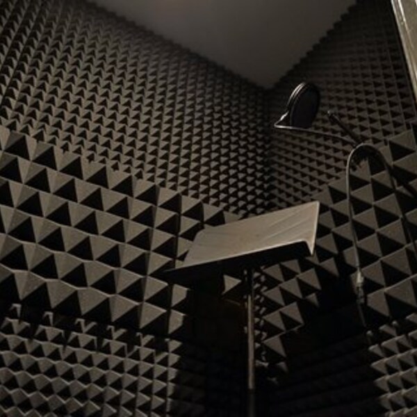 Recorded Voice Overs For Your Social Media Video, Short Film, Movie, Corporate Video, or Audio Book.