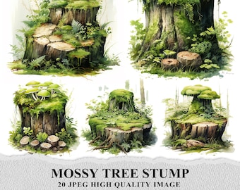 May include: Five different mossy tree stumps with various sizes and shapes. Some stumps have mushrooms growing on top. The stumps are covered in green moss and have a natural, rustic look.