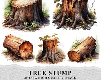 May include: A set of four watercolor illustrations of tree stumps. The stumps are in various shapes and sizes, with some showing the roots and others showing the cut surface of the tree. The illustrations are set against a white background.
