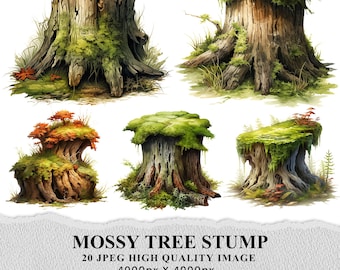 May include: Five different mossy tree stumps with various shapes and sizes. The stumps are covered in green moss and have a natural, rustic look. They are perfect for adding a touch of nature to any craft project or home decor.