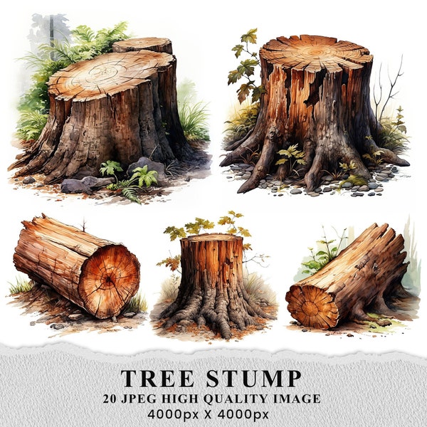 Tree Stump Watercolor, 20 Watercolor Tree Trunk, Tree Stump Bundle Clipart, Tree Stump Crafting Journaling Scrapbook Digital Download