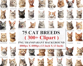 Katze Clipart, süße Katze Clipart, Katzenrassen Clipart, Katze auf der Welt