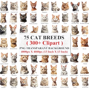 Cat Clipart, Cute Cat Clipart, Cat Breeds Clipart, Cat In The World