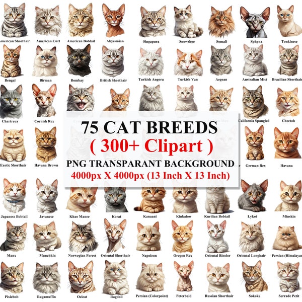 Cat Clipart, Cute Cat Clipart, Cat Breeds Clipart, Cat In The World