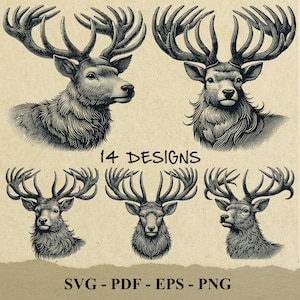 Deer Head Vintage Vector Illustration, Whitetail Deer SVG, Big Buck, Deer Hunting Engraving Vector Svg Clipart Silhouette Vector Cut Files
