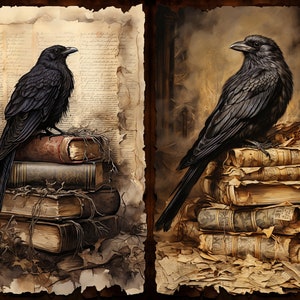Puede incluir: Dos cuervos negros posados ​​en pilas de libros viejos y desgastados. Los libros est&aacute;n cubiertos de papel envejecido y tienen una est&eacute;tica vintage. Los cuervos est&aacute;n colocados sobre los libros, creando una sensaci&oacute;n de misterio e intriga.