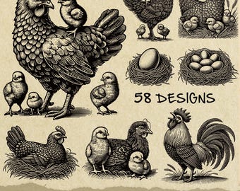 Vintage Chicken Rooster Illustration: Farmhouse SVG Clipart (Digital Download)