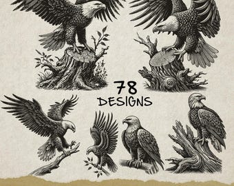 Vintage Adler-Illustrations-Bündel: 78 Designs (SVG, PNG, PDF)