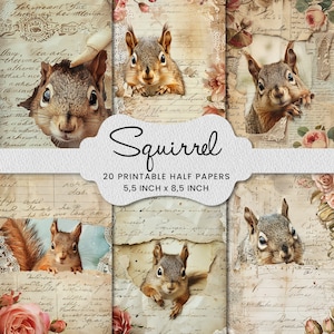 Bonito esquilo lixo diário meio papel mídia mista colagem de papel para impressão, scrapbook, fabricação de cartão, fornecimento de artesanato papéis digitais