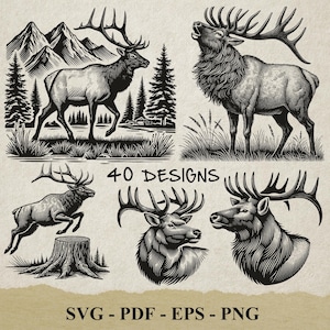 Peut inclure: Un ensemble de 40 illustrations vectorielles en noir et blanc d'élans, de cerfs et d'orignaux. Les illustrations sont de style vintage et présentent des détails de lignes. Le texte "40 DESIGNS" et "SVG - PDF - EPS - PNG" est inclus dans l'image.