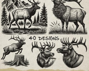 May include: A set of 40 black and white vector illustrations of elk, deer, and moose. The illustrations are in a vintage style and feature detailed line work. The text "40 DESIGNS" and "SVG - PDF - EPS - PNG" is included in the image.
