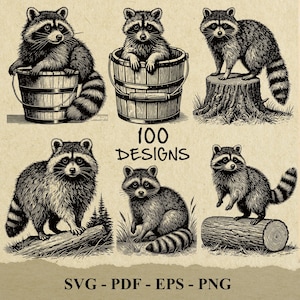 Raccoon Vintage Vector Illustration, Cute Raccoon SVG, Raccoon Engraving Vector Svg Clipart Silhouette Vector Cut Files