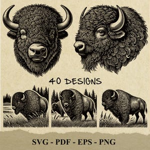 American Bison Vintage Vector Illustration, Buffalo, Calf, Bison Engraving Vector Svg Clipart Silhouette Vector Cut Files