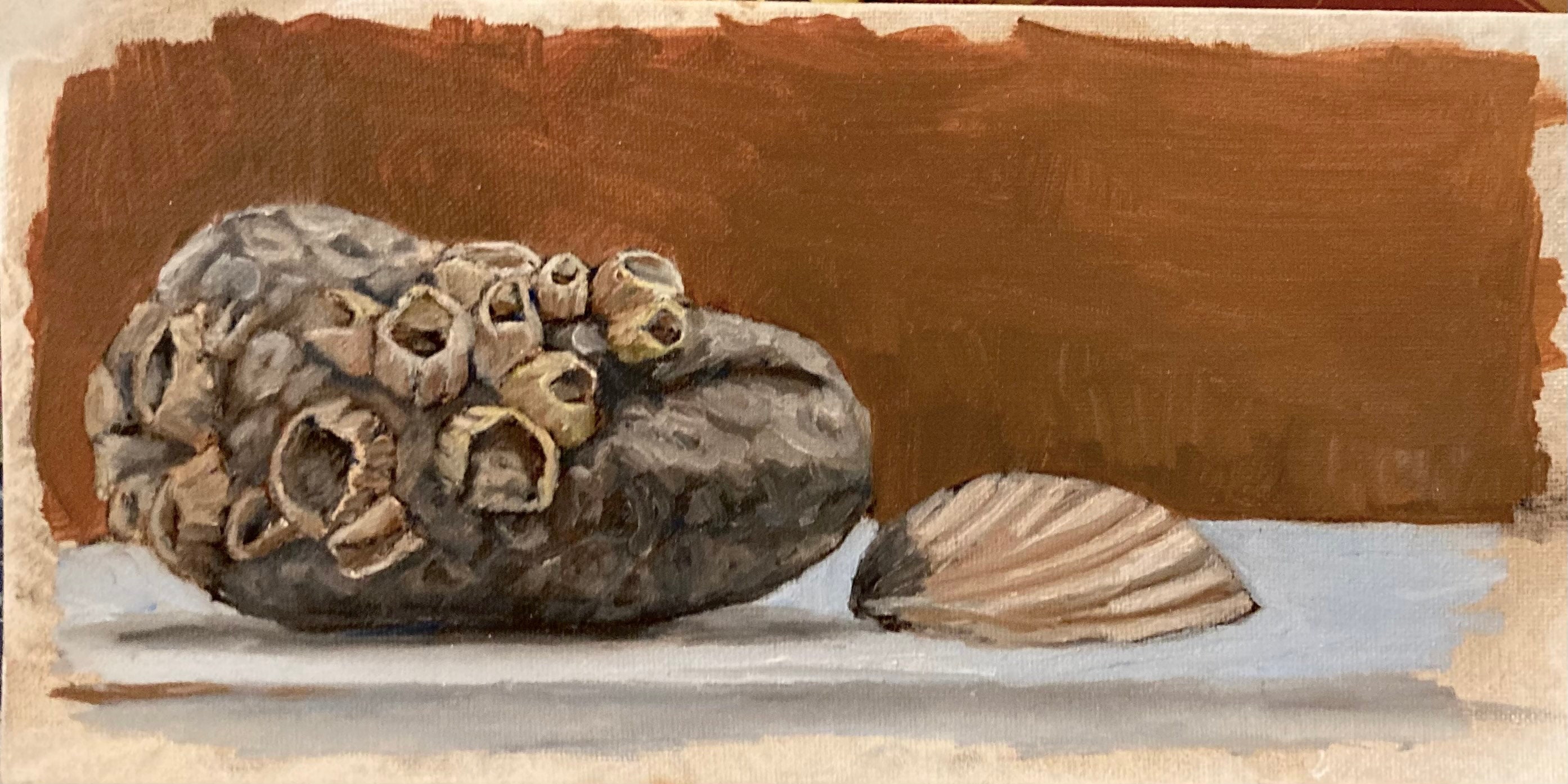 Barnacle Rock and Shell Original Artwork - Etsy