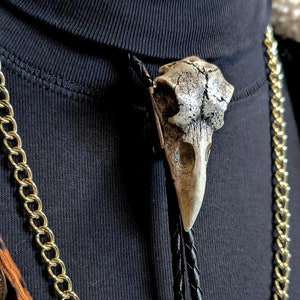 May include: A silver-toned bolo tie featuring a bird skull pendant. The skull has a textured surface and is suspended from a black braided cord. A gold chain necklace is visible on either side of the tie, against a black background.