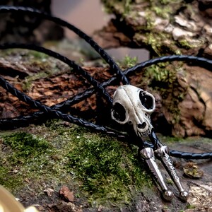 May include: A bolo tie with a cat skull pendant. The skull is off-white with dark eye sockets and a detailed jawline. The tie has a black braided leather cord and silver-toned metal tips. The background is a natural setting with moss and wood.