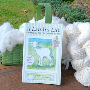 A Lamb&#39;s Life, A Year In The Life Of A Lamb&#39;s On A Farm