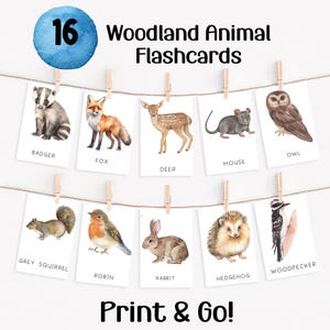 Woodland Animal Flashcards, Forest Animals Watercolour Flash Cards for Kids, Digital Download