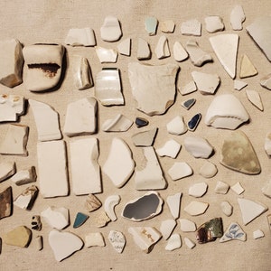 Puede incluir: Una colección de fragmentos de cerámica blanca, azul y marrón. Los fragmentos son de varios tamaños y formas, algunos con patrones decorativos.