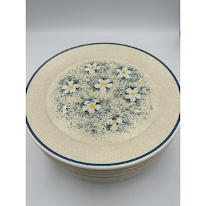 May include: A stack of eight cream-colored dinner plates with a blue rim and a floral pattern of white daisies with yellow centers on a blue and green background.